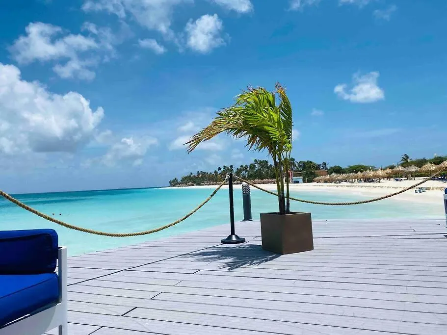 Apartment Eagle Beach Aruba Breeze Condominium Melon Palm Beach